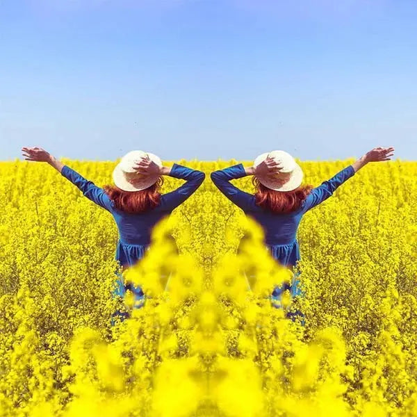 ReflectoSnap™ - Transform Your Photos with Instant Mirror Magic!