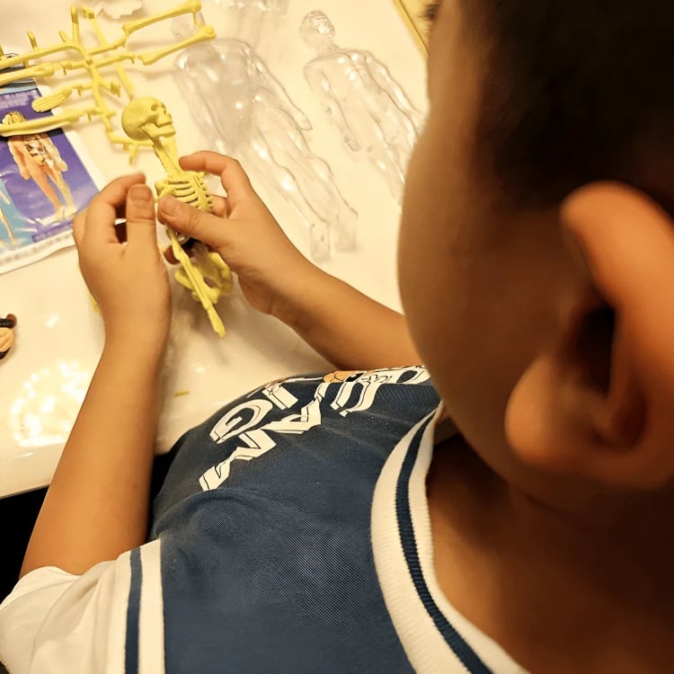 AnatoView™ - Transform Anatomy Learning in 3D Clarity!