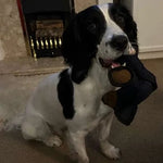 Esslvyshop-Bear™ - End Heavy Chewing Forever with 49% OFF!